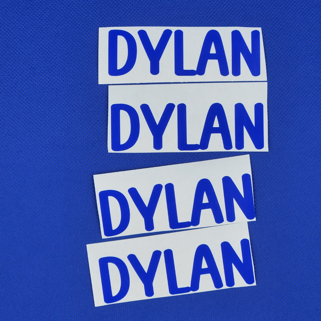 5 Vinyl Name Labels for $2